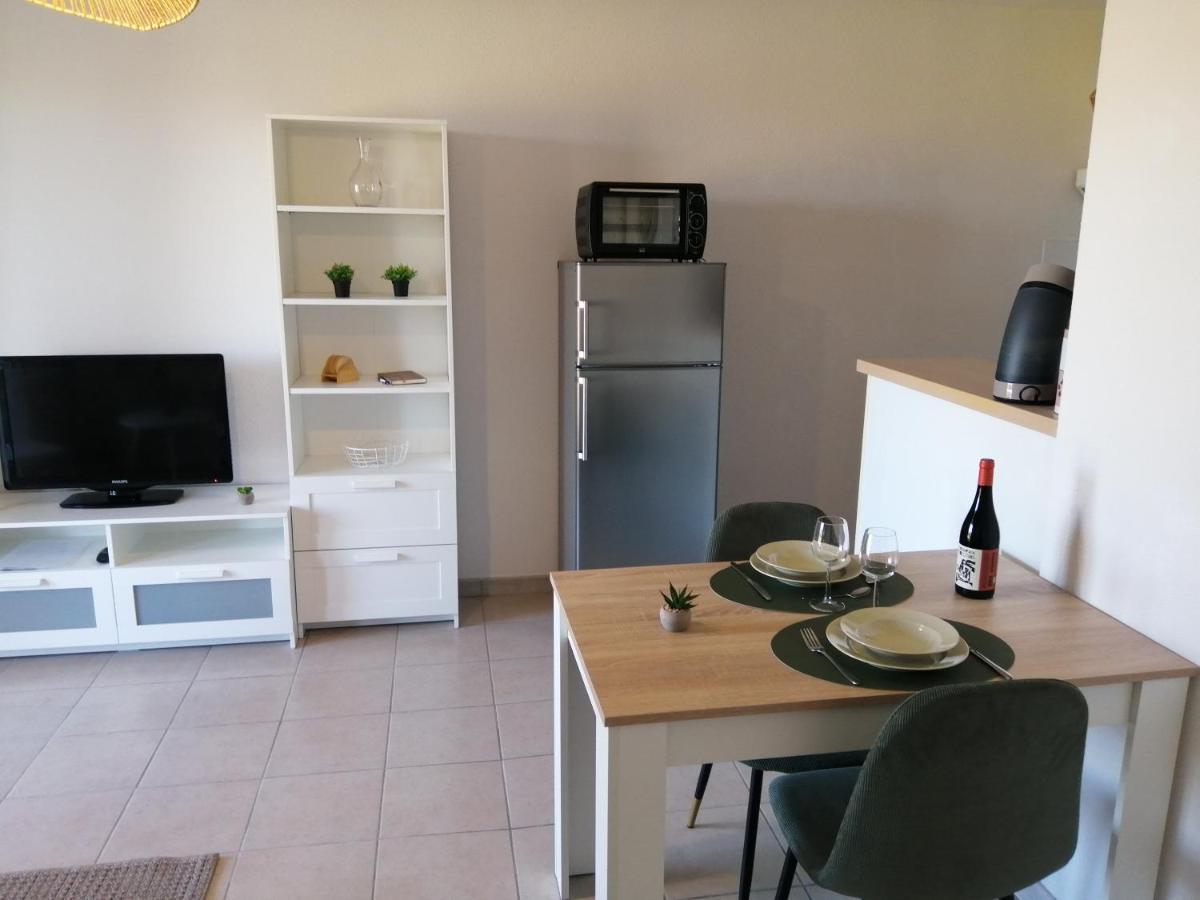 Le Cocon De Marie,Piscine, Balcon, Parking Gratuit, Baignoire Διαμέρισμα Καρκασόν Εξωτερικό φωτογραφία