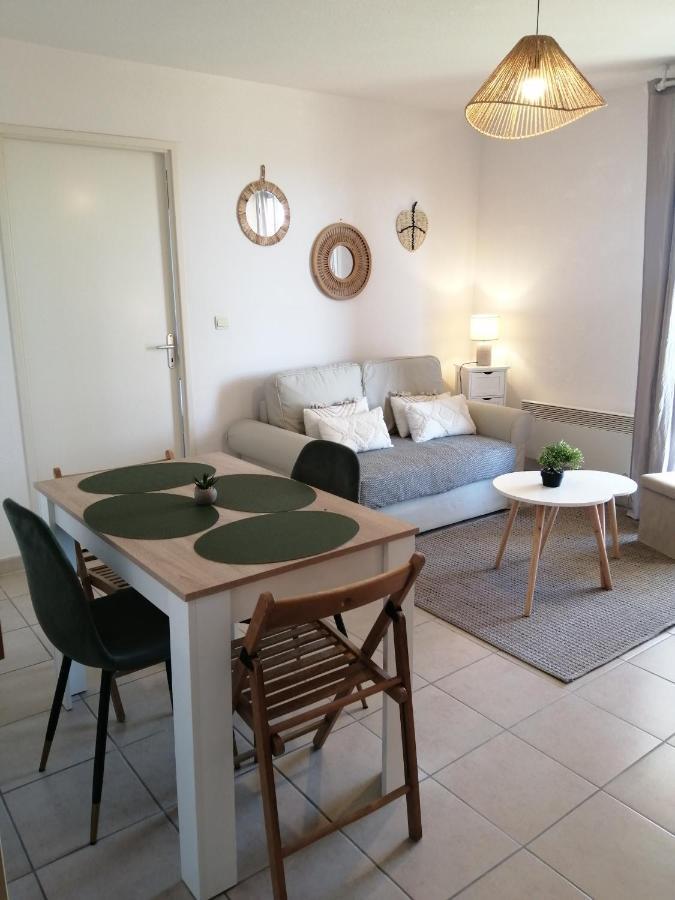 Le Cocon De Marie,Piscine, Balcon, Parking Gratuit, Baignoire Διαμέρισμα Καρκασόν Εξωτερικό φωτογραφία