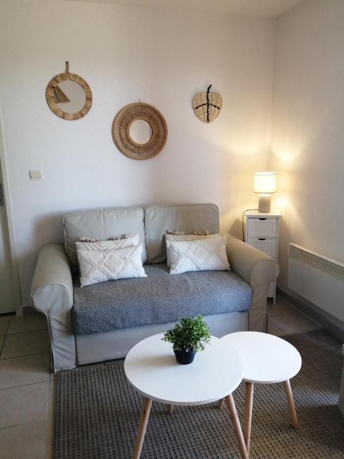Le Cocon De Marie,Piscine, Balcon, Parking Gratuit, Baignoire Διαμέρισμα Καρκασόν Εξωτερικό φωτογραφία