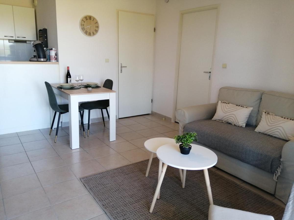 Le Cocon De Marie,Piscine, Balcon, Parking Gratuit, Baignoire Διαμέρισμα Καρκασόν Εξωτερικό φωτογραφία