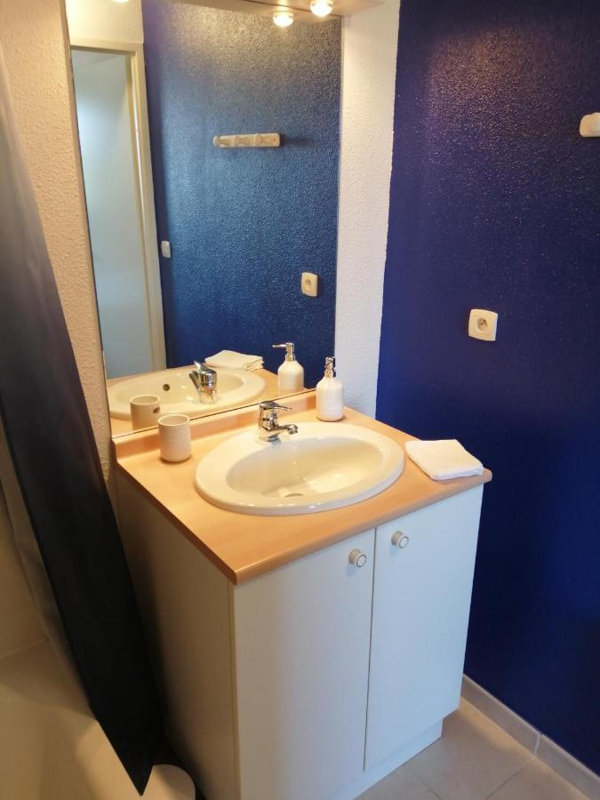 Le Cocon De Marie,Piscine, Balcon, Parking Gratuit, Baignoire Διαμέρισμα Καρκασόν Εξωτερικό φωτογραφία