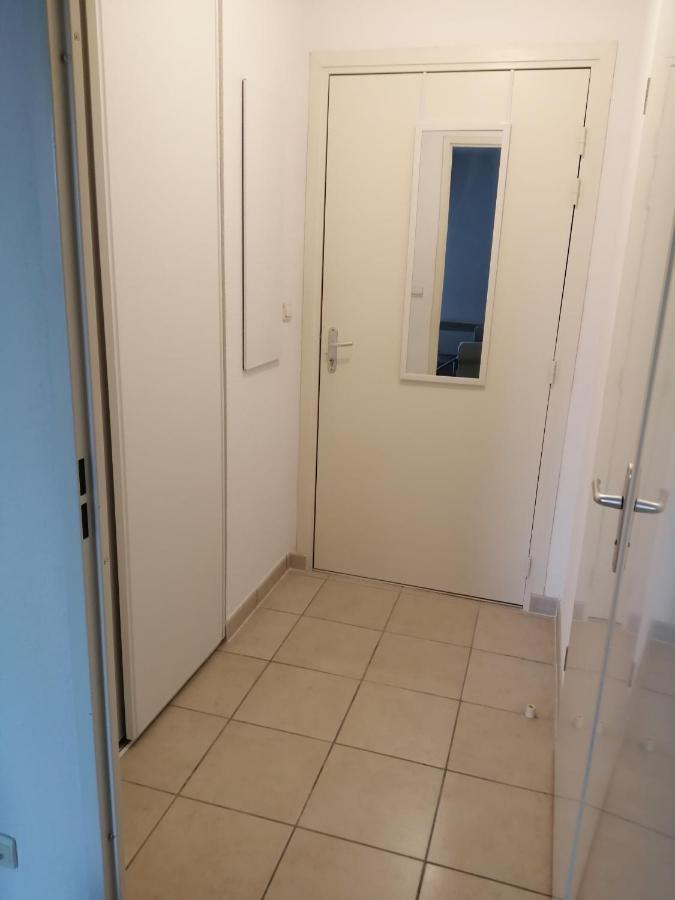 Le Cocon De Marie,Piscine, Balcon, Parking Gratuit, Baignoire Διαμέρισμα Καρκασόν Εξωτερικό φωτογραφία