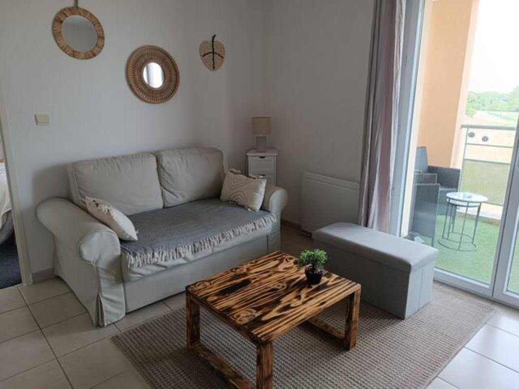 Le Cocon De Marie,Piscine, Balcon, Parking Gratuit, Baignoire Διαμέρισμα Καρκασόν Εξωτερικό φωτογραφία